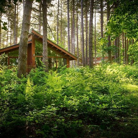 Blackwood Forest Cabins - Forest Holidays Popham Экстерьер фото