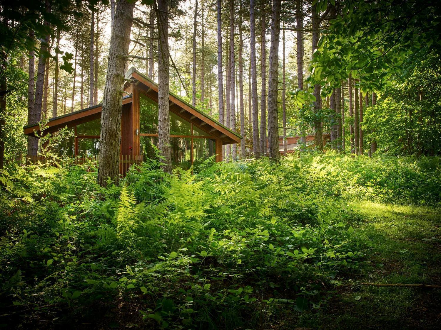Blackwood Forest Cabins - Forest Holidays Popham Экстерьер фото