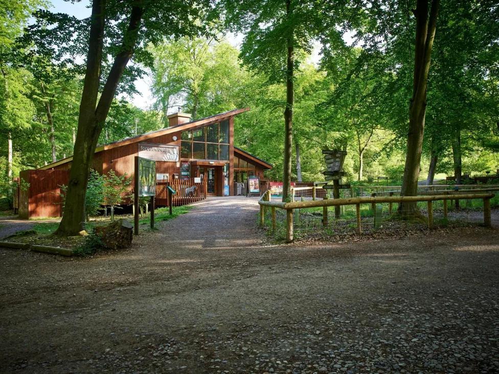 Blackwood Forest Cabins - Forest Holidays Popham Экстерьер фото