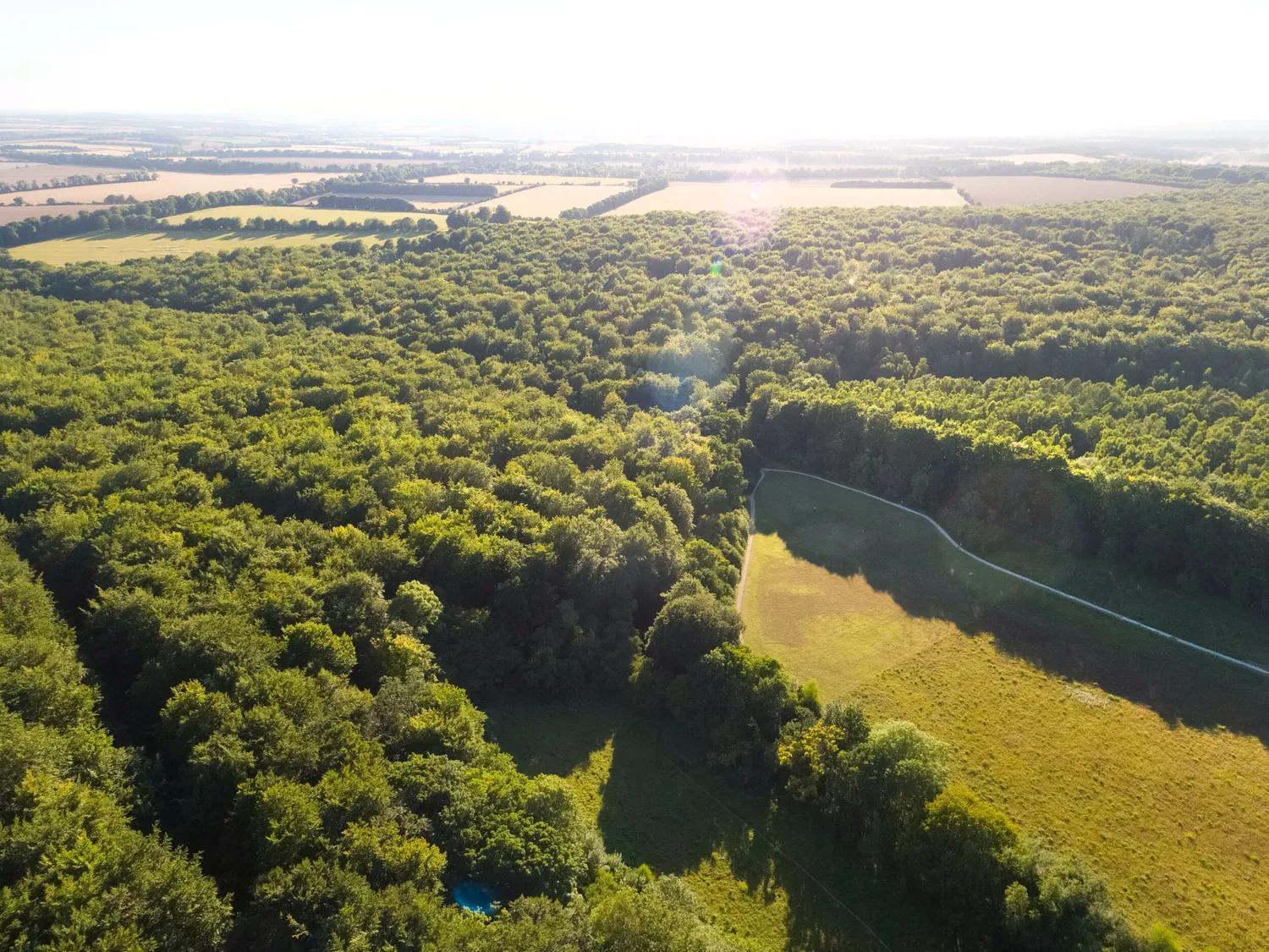 Blackwood Forest Cabins - Forest Holidays Popham Экстерьер фото