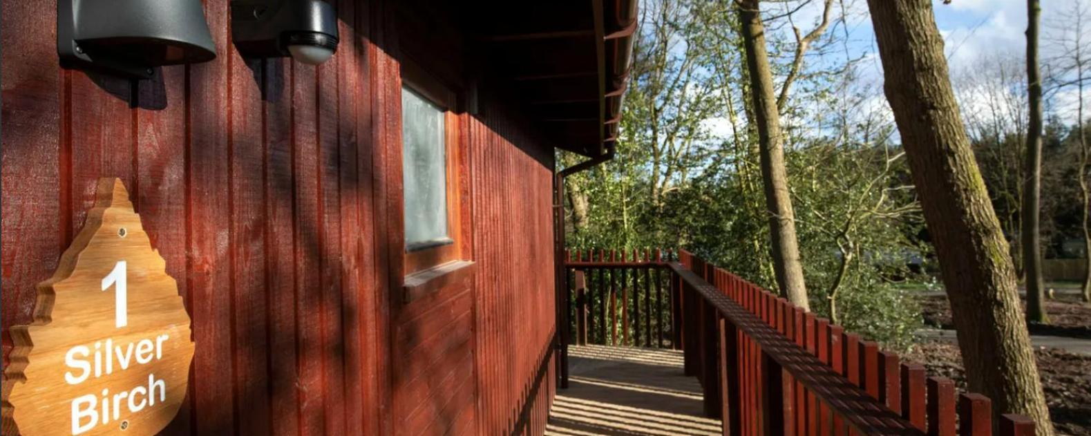 Blackwood Forest Cabins - Forest Holidays Popham Экстерьер фото